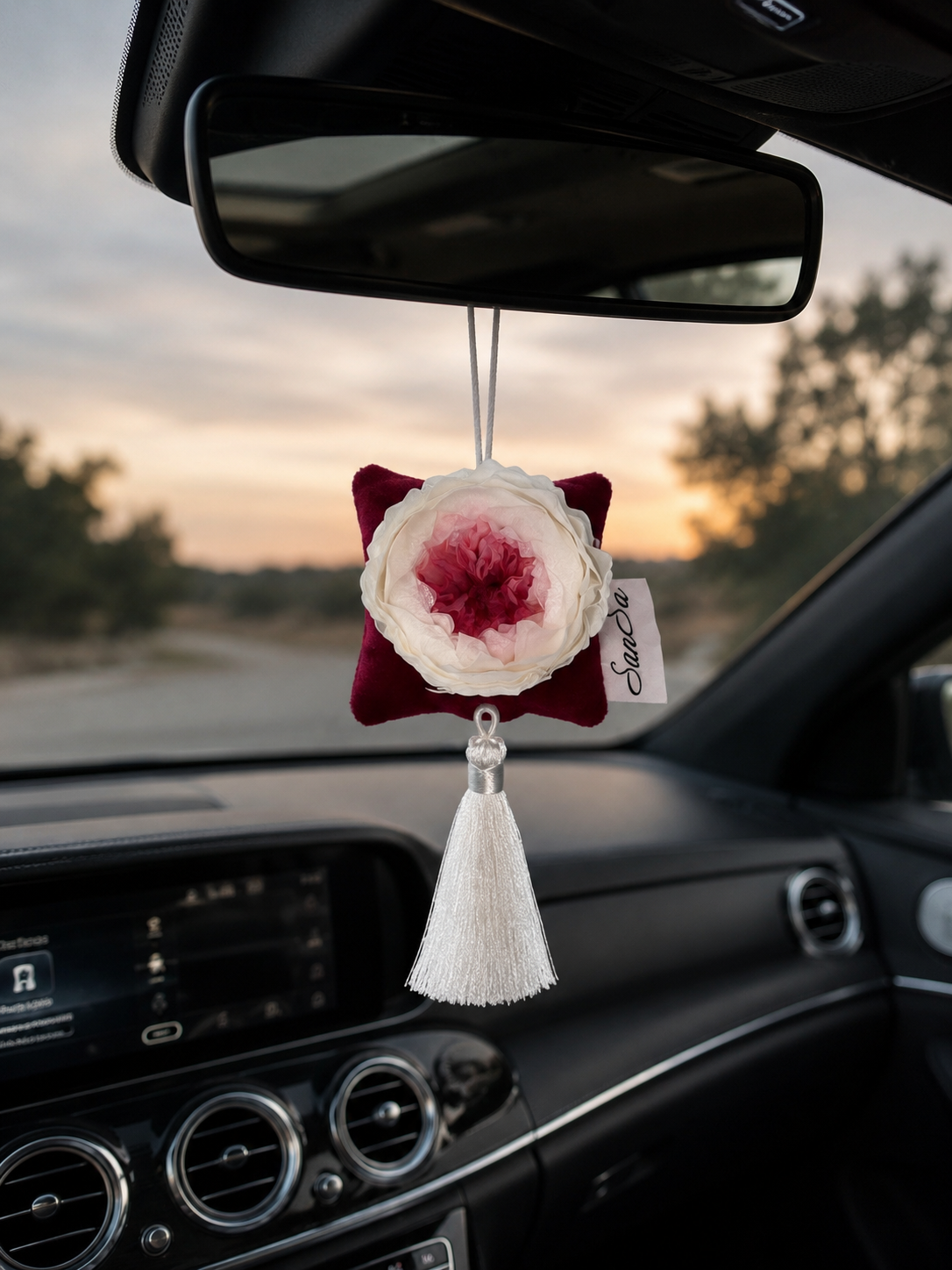 Luxury automobilio kvapas su tikra miegančia rože